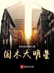 国术大明星封面
