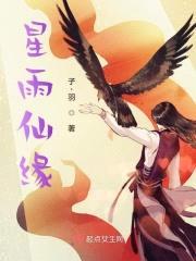 星雨仙缘封面
