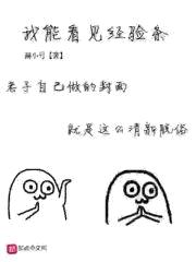 我能看见经验条封面