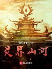 灵界山河封面