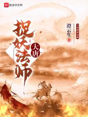 大唐第一神探封面