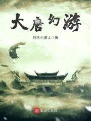 大唐幻游封面