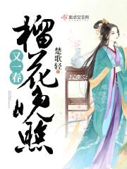 榴花晚照又一春封面