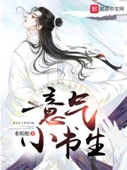 意气小书生封面