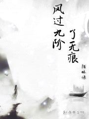 风过九阶了无痕封面