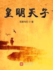 皇明天子封面