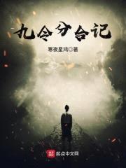 九令分合记封面