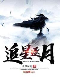 追星逐月封面