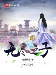 无尽之子封面