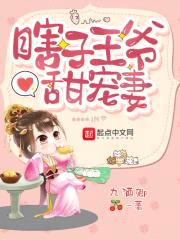 瞎子王爷甜宠妻封面