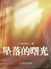 坠落的曙光封面