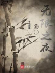 暗无限之夜封面