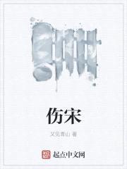 伤宋封面