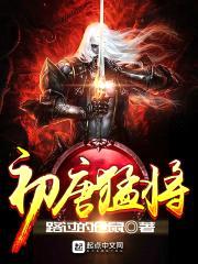 初唐猛将封面