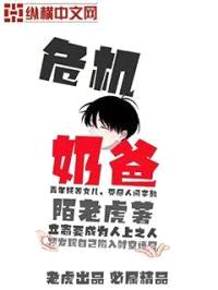 危机奶爸封面