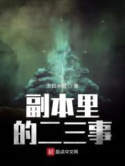 副本里的二三事封面