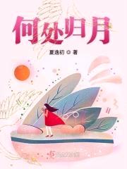 何处归月封面