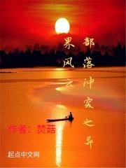 部落冲突之异界风云封面