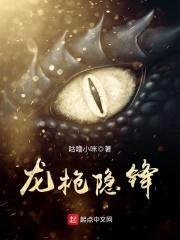 龙枪隐锋封面