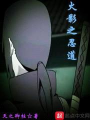 木叶之忍道封面