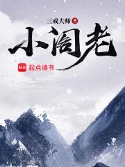 小阁老封面