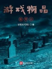 游戏物品能带出封面
