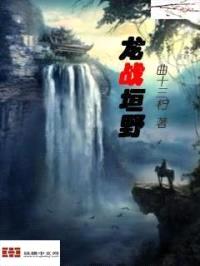 龙战垣野封面