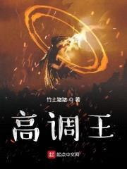 高调王封面