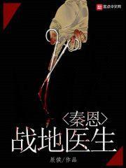 战地医生秦恩封面