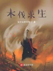 末日之木筏求生封面