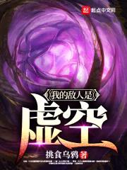 我的敌人是虚空封面