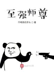 至强师尊封面