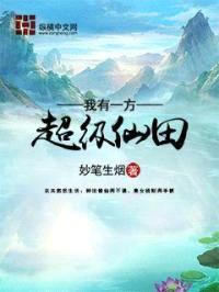 我有一方超级仙田封面