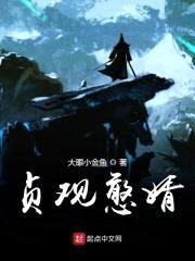 贞观憨婿封面