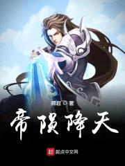 帝陨降天封面