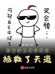 身为职业玩家的我拯救了天道封面