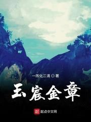 玉宸金章封面
