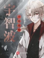 宇智波不再悲伤封面