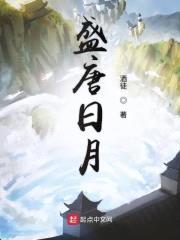 盛唐日月封面