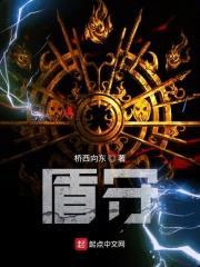 盾守封面