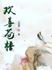 欢喜苍梧封面