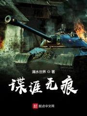 谍涯无痕封面