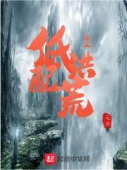 升级低配洪荒封面