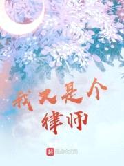 我又是个律师封面