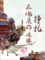 在炮灰的边缘挣扎封面