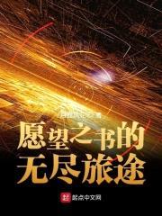 愿望之书的无尽旅途封面