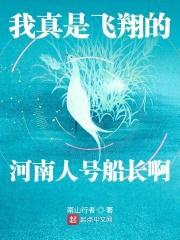 我真是飞翔的河南人号船长啊封面