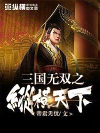 三国无双之纵横天下封面
