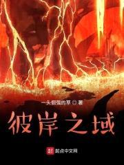彼岸之域封面