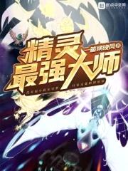 精灵最强大师封面